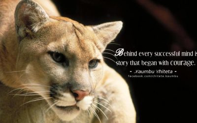 Courage: Fall Down, Speak Up, Rise Strong