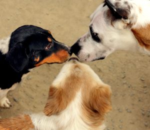 the Power of Three