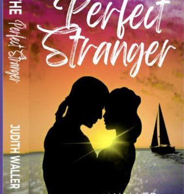 The Perfect Stranger - Judith Waller